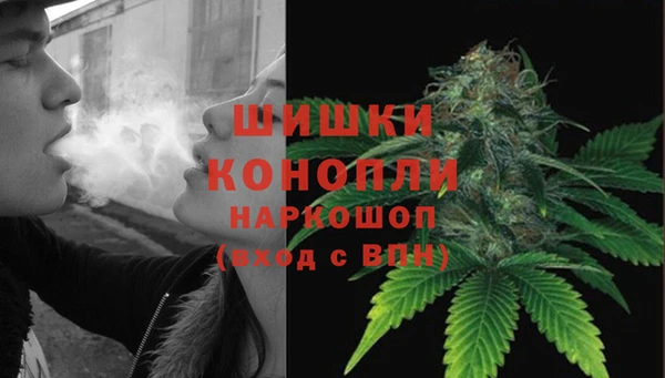 сатива Россошь
