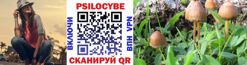 Псилоцибиновые грибы Psilocybine cubensis Павловск
